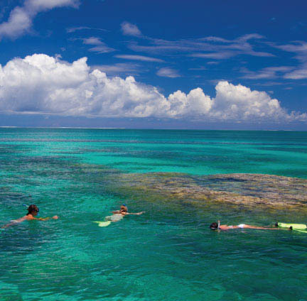 Snorkeling in The Seychelles - Alphonse Island