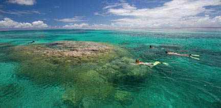 Snorkeling in The Seychelles - Alphonse Island