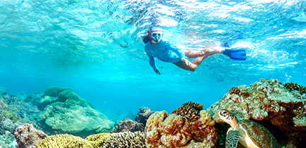 Snorkeling in The Seychelles - Alphonse Island