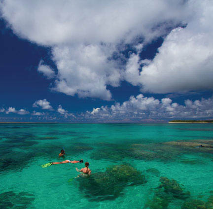 Snorkeling in The Seychelles - Alphonse Island